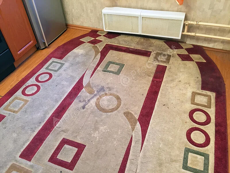 Быстрая сушка ковров за 24 часа - современные технологии без деформации