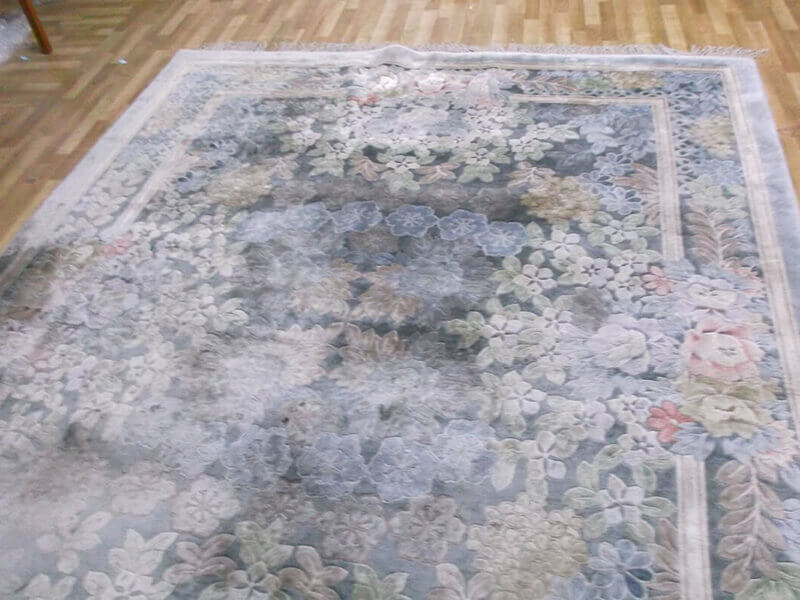 Команда профессионалов KilemSpa - опыт 5+ лет в чистке ковров Алматы